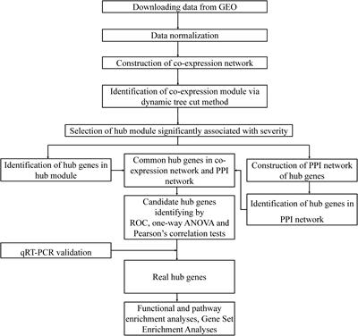 Weighted Gene Co-expression Network Analysis of Key Biomarkers Associated With Bronchopulmonary Dysplasia